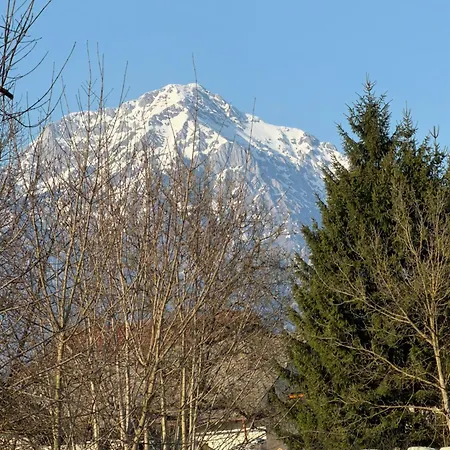 Ekoviki2 Daire Kranj
